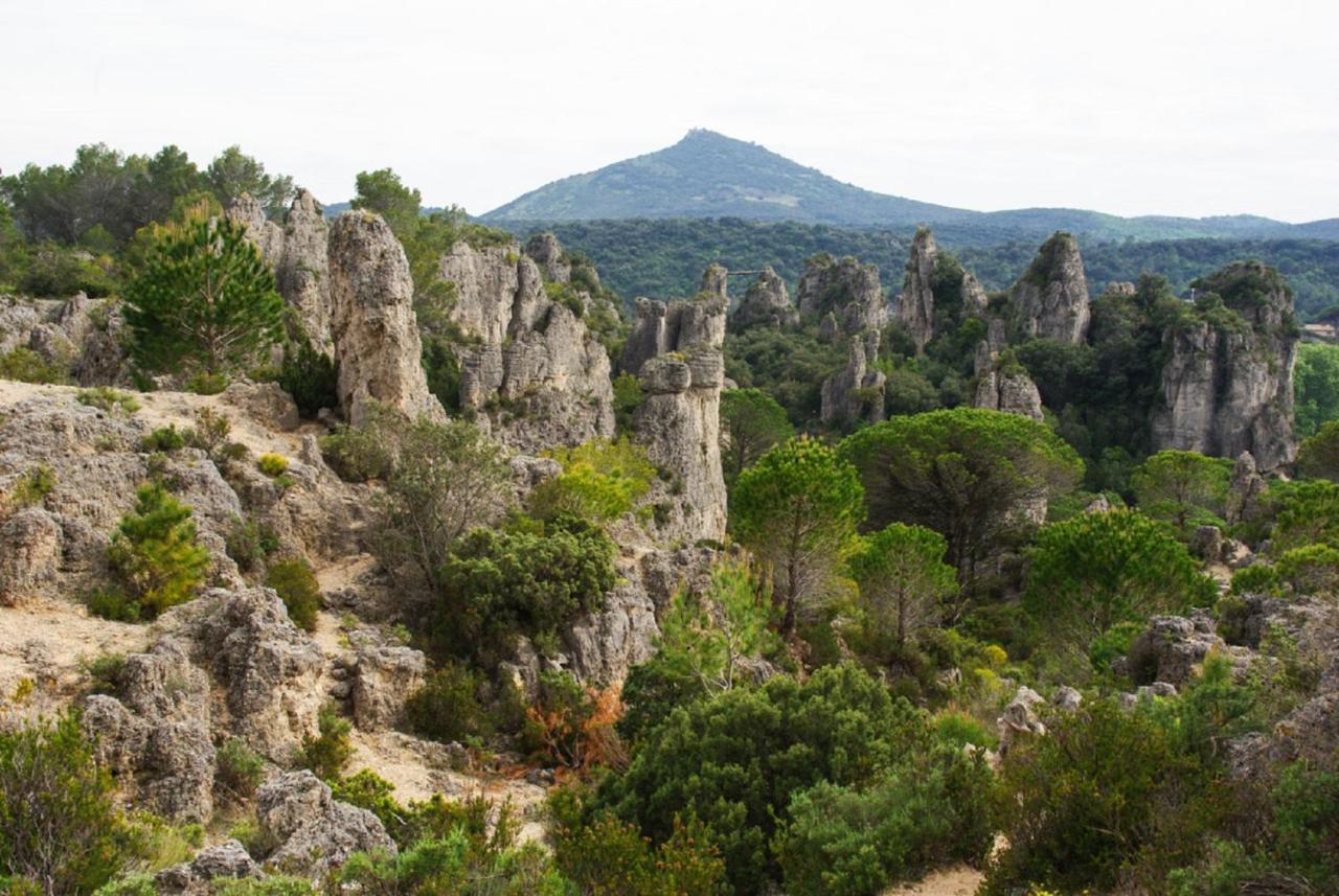 "Le Cocon"-Meuble De Tourisme 3 Etoiles -Residence "Les Logis De Beziers"-Garage Optionnel-Coeur De Ville-Plages A 16Km ! ภายนอก รูปภาพ